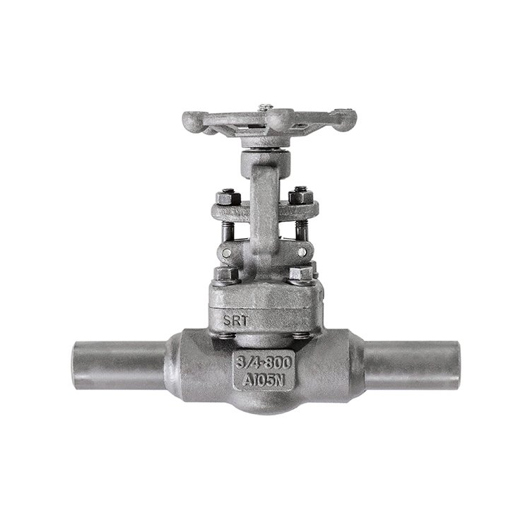 Kuidas mõista mikroväljalaskeklappi? 浙江橙树-无敌队-郑清